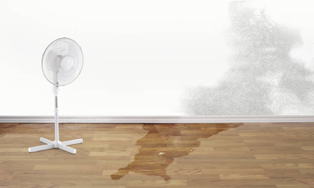 Best 24/7 water damage repair  in Leon, IA