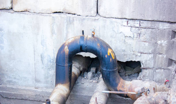 Best Water damage restoration mold remediation  in Leon, IA